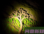 没有它就没有人类？植物30亿年进化史如何重塑地球（2025年精编版）