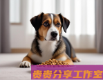 宠物突然呕吐/抽搐/不吃东西？2025年必须掌握的5大救命知识！