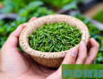 2025 年户外露营智能装备（十一）：防蚊防虫与天气应对升级