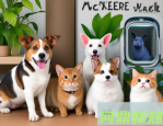 宠物在家怎么洗澡？犬猫分流0翻车流程（频率表｜工具清单｜干吹要点）