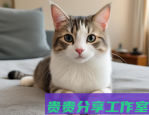 ChatGPT企业备案全攻略：2025年最新操作指南