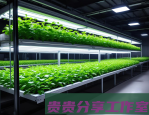 深夜，我在水培大棚里算了一笔账