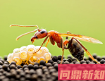真空压缩袋真的能节省75%空间吗？2025年实测数据揭秘，这些坑别踩！