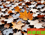 秋季皮肤过敏怎么办？5个缓解方法+护理建议