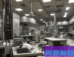 消费促进年是什么？2025年政策背景与商家机会解析