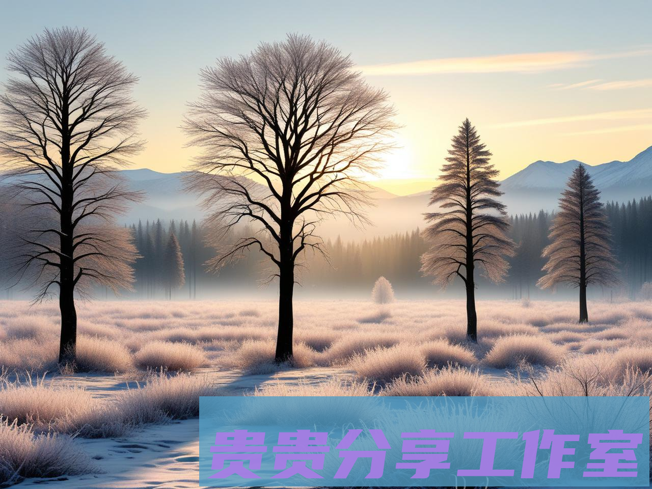 《初霜》高清正版观看指南|免费与付费渠道全解析