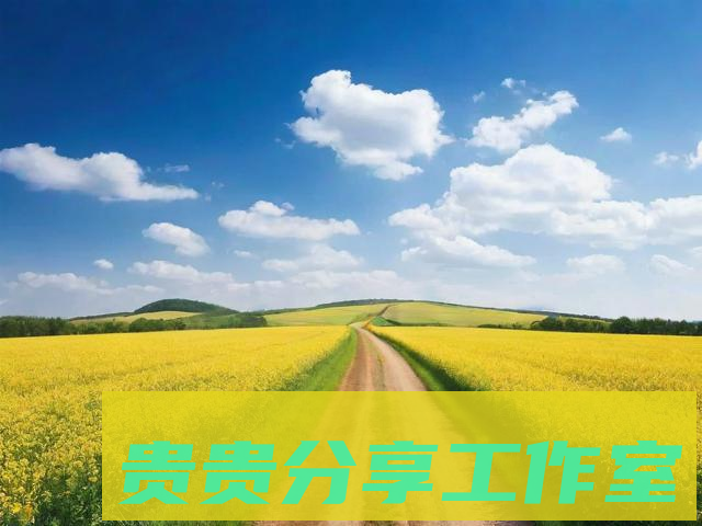 2025手机摄影构图终极指南:6招让你的照片秒变专业