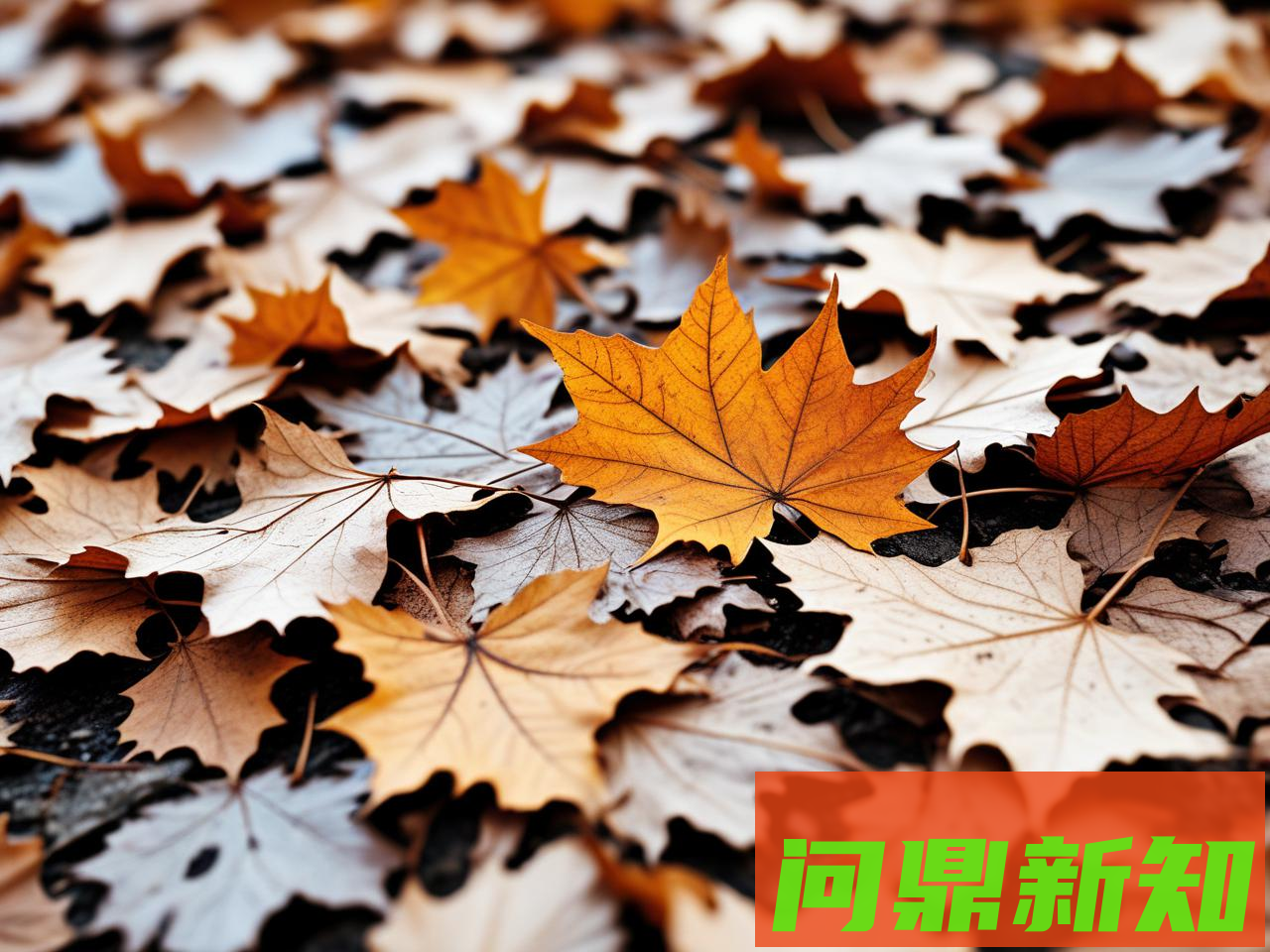 秋季皮肤过敏怎么办？5个缓解方法+护理建议