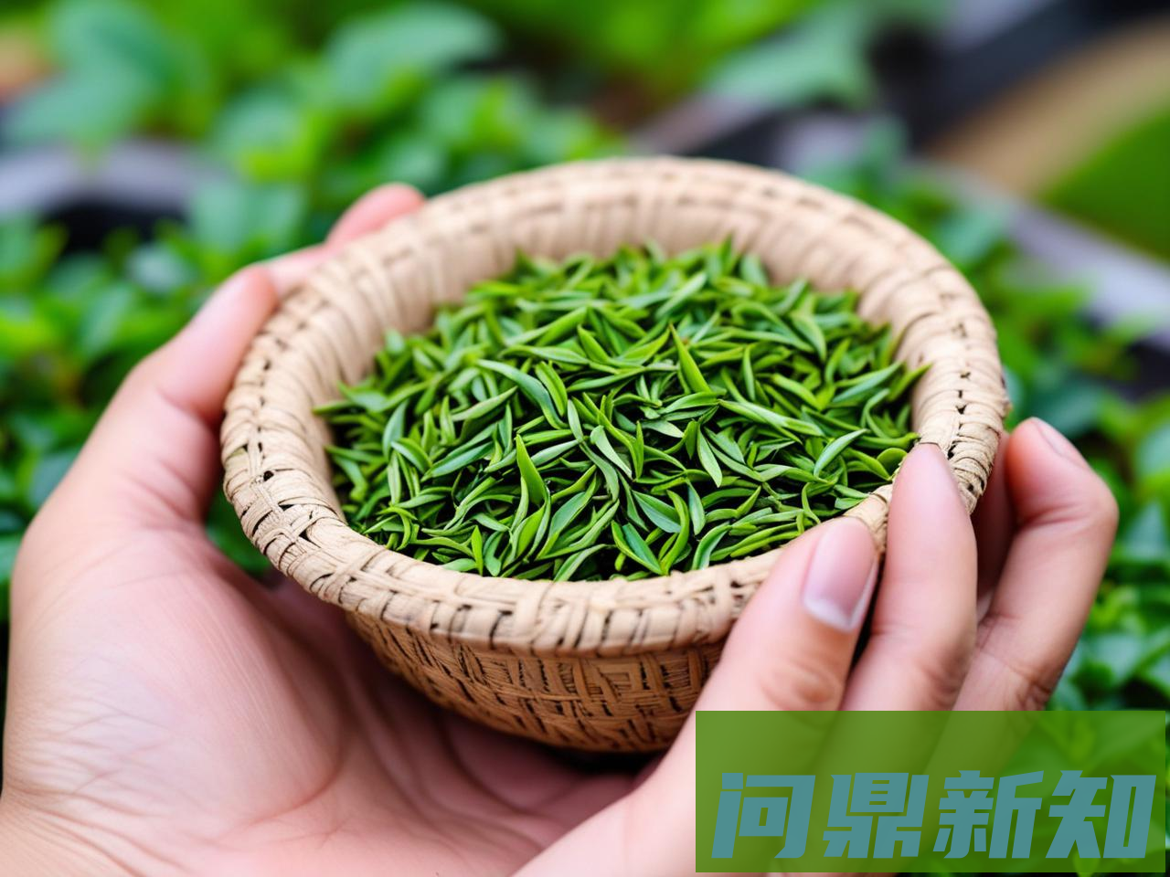 2025区块链暴利落地真相：茶叶上链贵3倍？法院用它7天追债8千万！